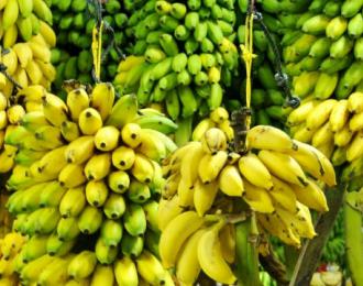 Банан - экзотический фрукт