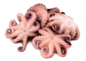 Осьминоги